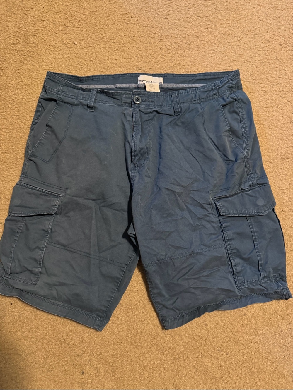 Paper Denim & Cloth Men's Cargo Shorts in Blue